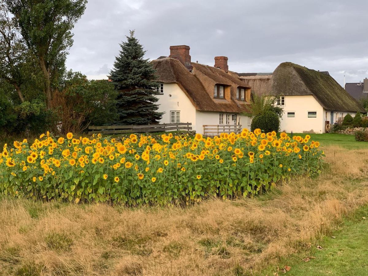 Hansen-Hof-Wohnung-2 Sylt ภายนอก รูปภาพ